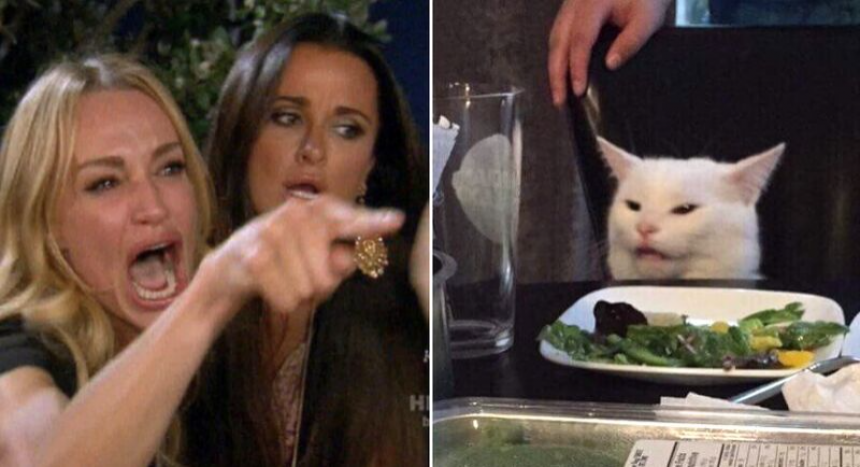 Women Yelling At Cat Meme Template