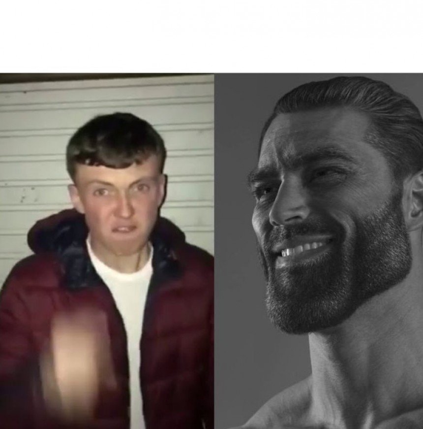 Average Fan Vs Enjoyer Meme Template