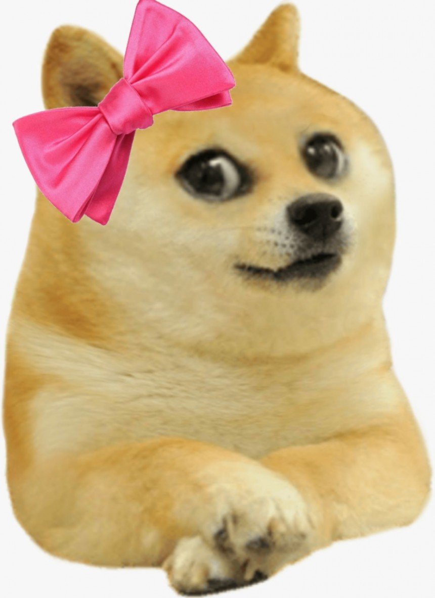 Kid Doge Meme Template