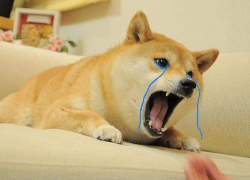 Angry Doge Meme Template