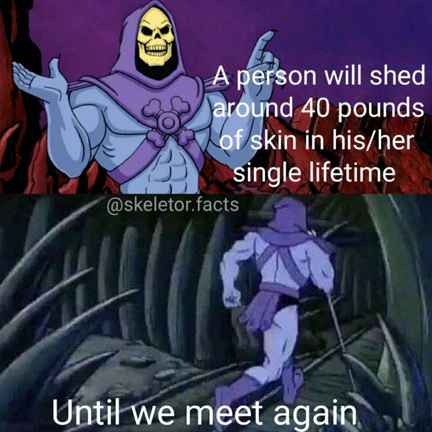 skeletor-facts-will-be-back-meme-templates