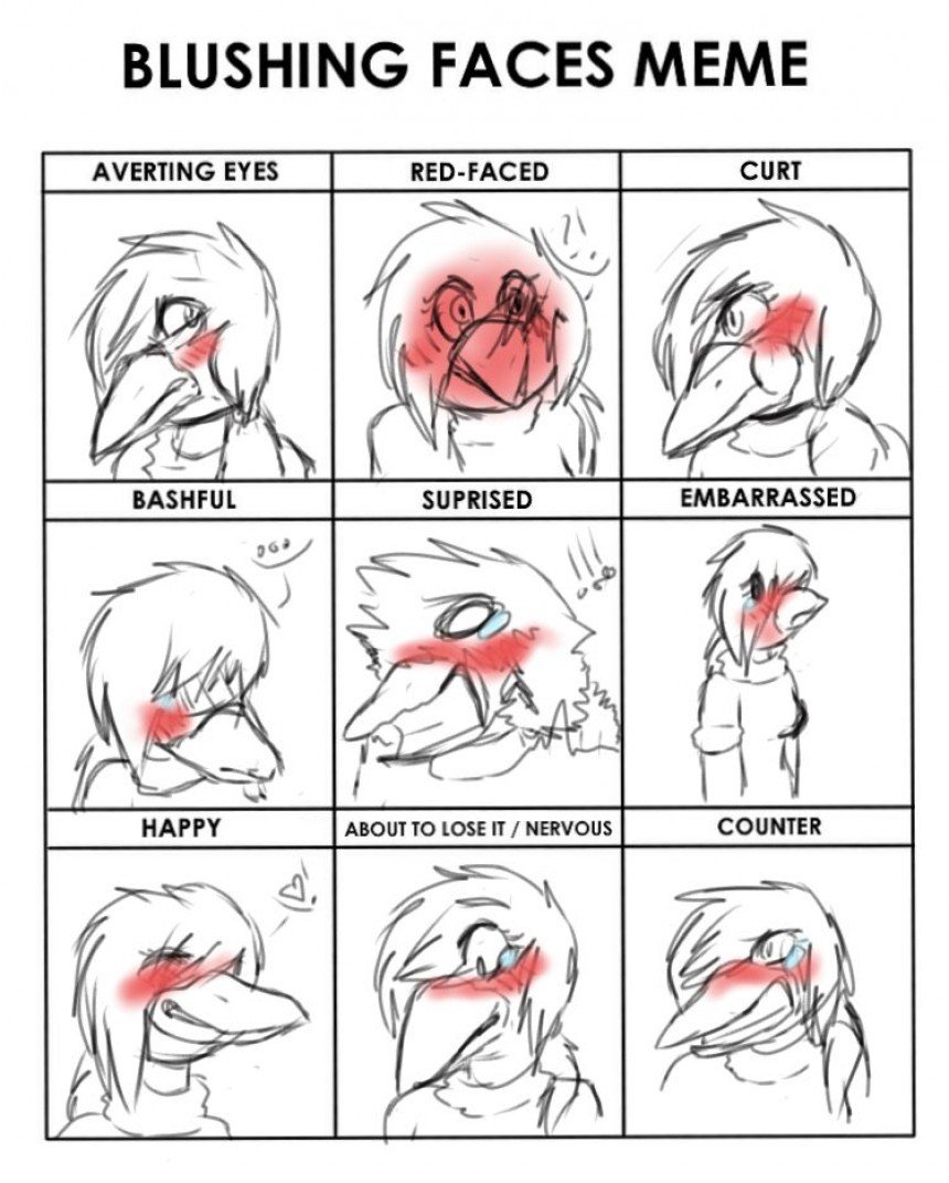 Blush Meter Memes